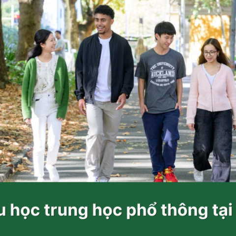 Trường trung học ở Mỹ_1