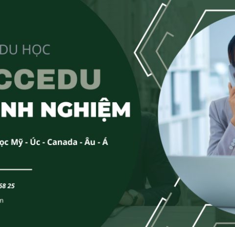 cong ty du hoc reccedu 01