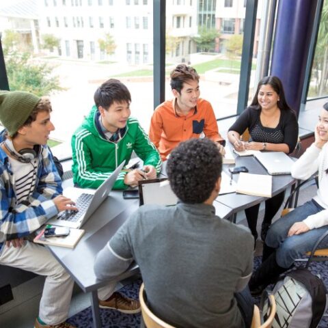 du hoc cap 3 tai new zealand 1