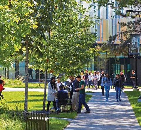 truong dai học toronto2