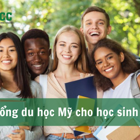 Hướng dẫn săn học bổng du học Mỹ cấp 3 cho học sinh trung học 1