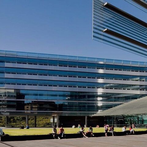 Trường đại học ở New Zealand 2