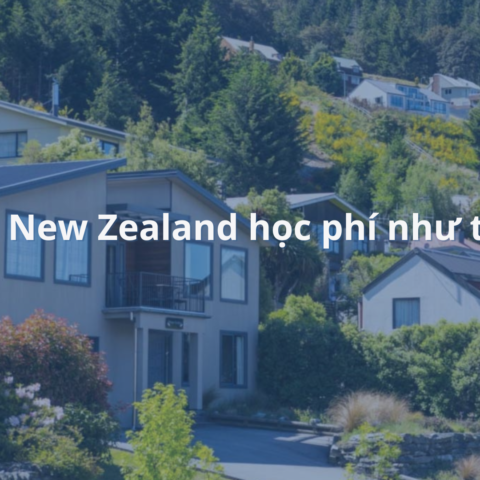 học phí du học new zealand 1