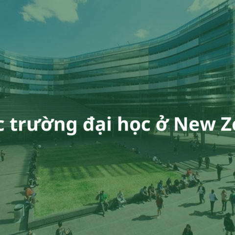 các trường đại học ở new zealand 1