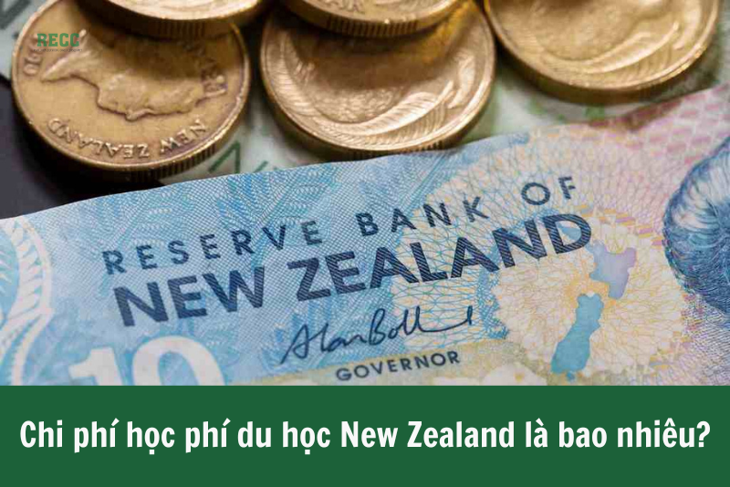 Học phí du học New Zealand 2