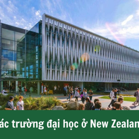 trường đại học ở New Zealand 1