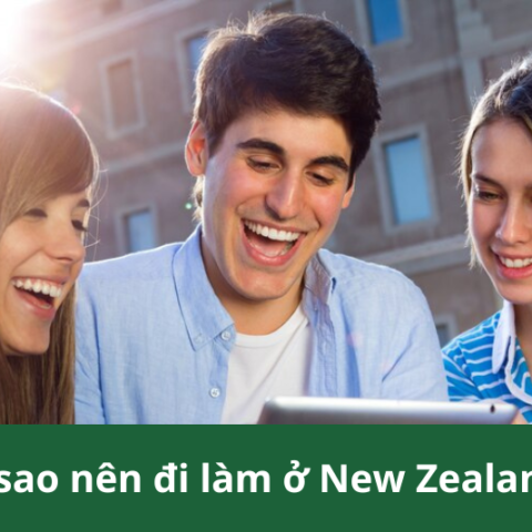 Đi làm ở New Zealand 1