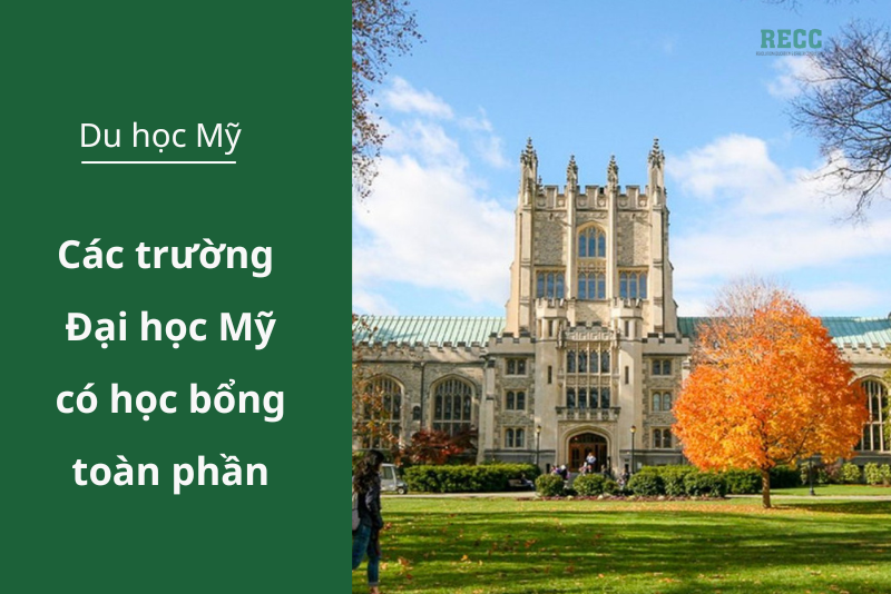 các trường đại học Mỹ có học bổng toàn phần 1