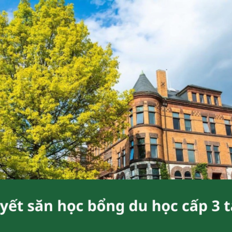 học bổng du học cấp 3 tại Mỹ 1