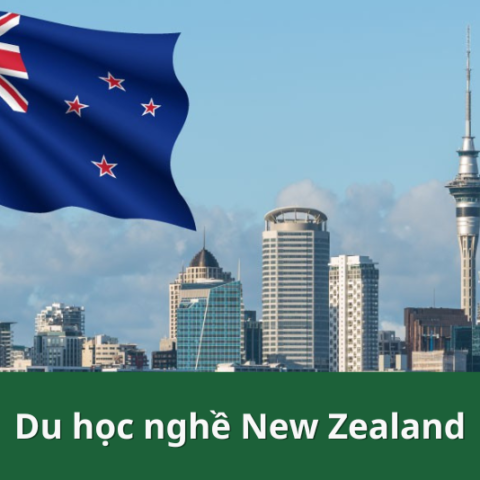Chi phí du học nghề tại New Zealand 1