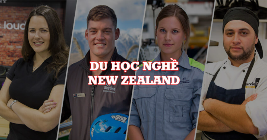 Chương trình giáo dục nghề nghiệp tại NZ 1